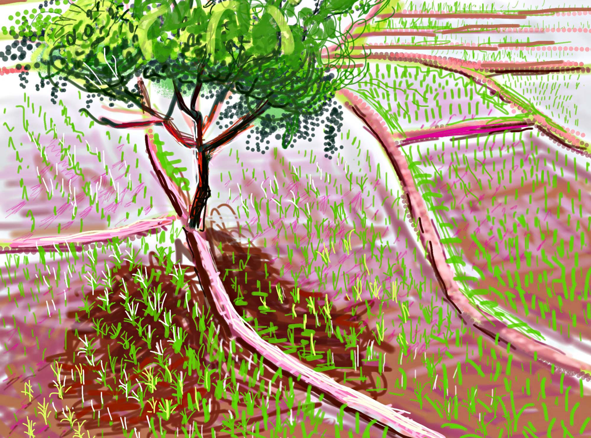 UK Research and Innovation - International Year of Plant Health 2020,  iPad drawings, Andy Maitland, iPad artist