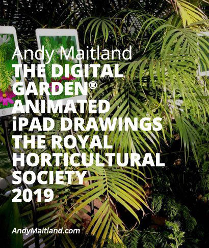 'Andy-Maitland, The Digital Garden® 2019, animated iPad drawings at The Royal Horticultural Society Garden Wisely, Surrey, UK'