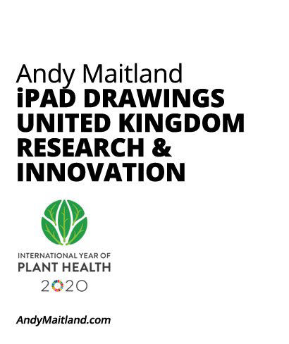 Andy Maitland, iPad Artist, 2020, iPad-drawings for United Kingdom Research and Innovation project 'International Year of Plant Health 2020'