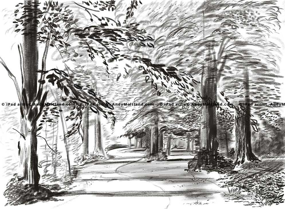 Andy Maitland, iPad drawing, Summer, Reigate Priory Park Surrey, UK.