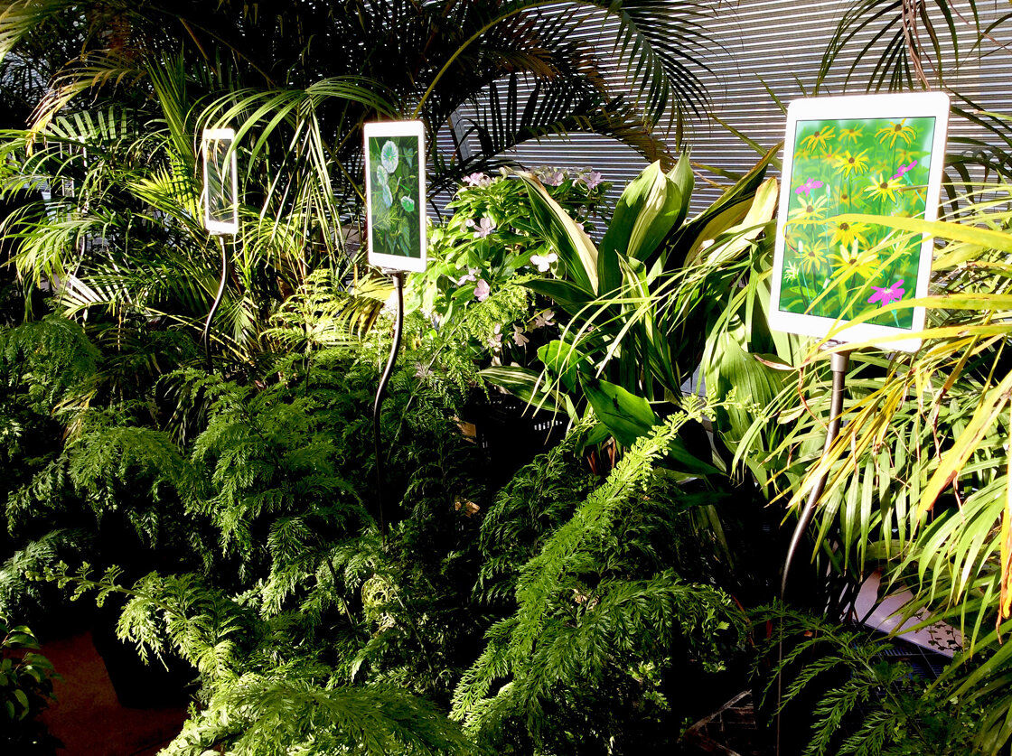 ‘The Digital Garden 2019®, animated iPad drawings at the Royal Horticultural Society Garden Wisley, UK. 6