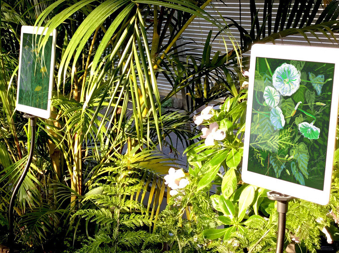 ‘The Digital Garden 2019®, animated iPad drawings at the Royal Horticultural Society Garden Wisley, UK. 4