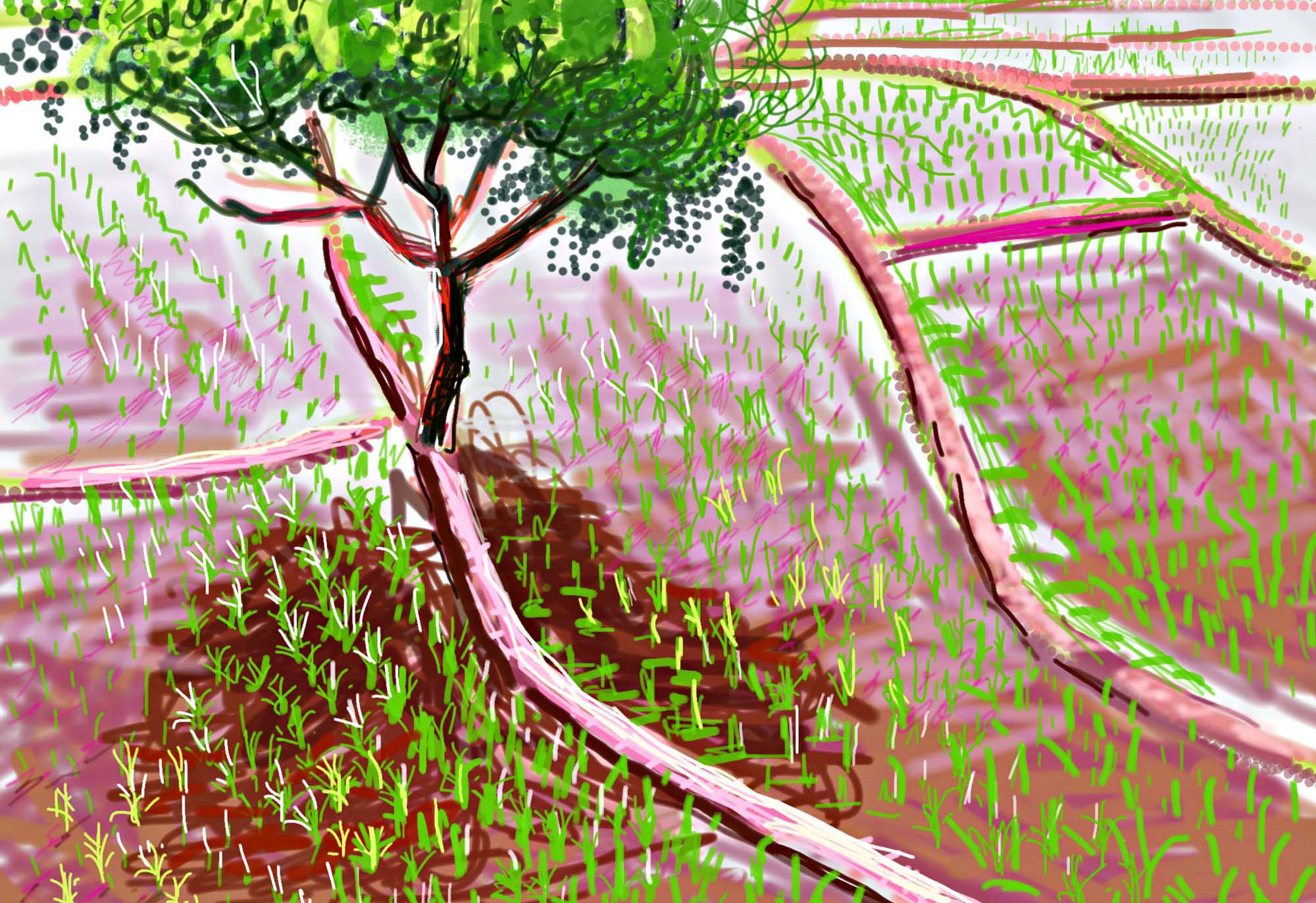 Andy Maitland, iPad artist, iPad drawing for Internal Year of Plant Health 2020