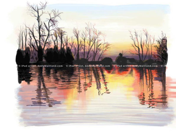 Andy Maitland, 2011, iPad drawing, Ealswood Lakes, Redhill, Surrey, UK. Winter.