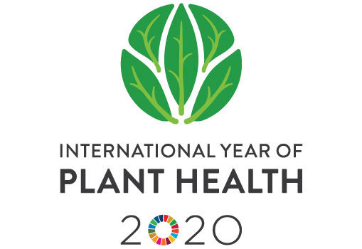 International Year of Plant Health 2020 logo