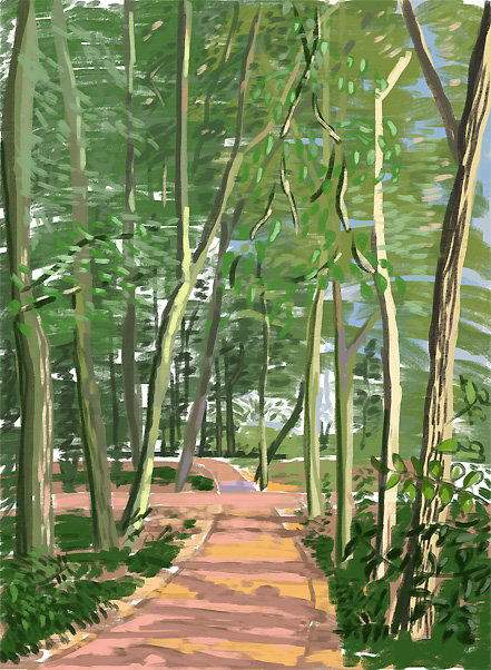 iPad sketch of wooded path.