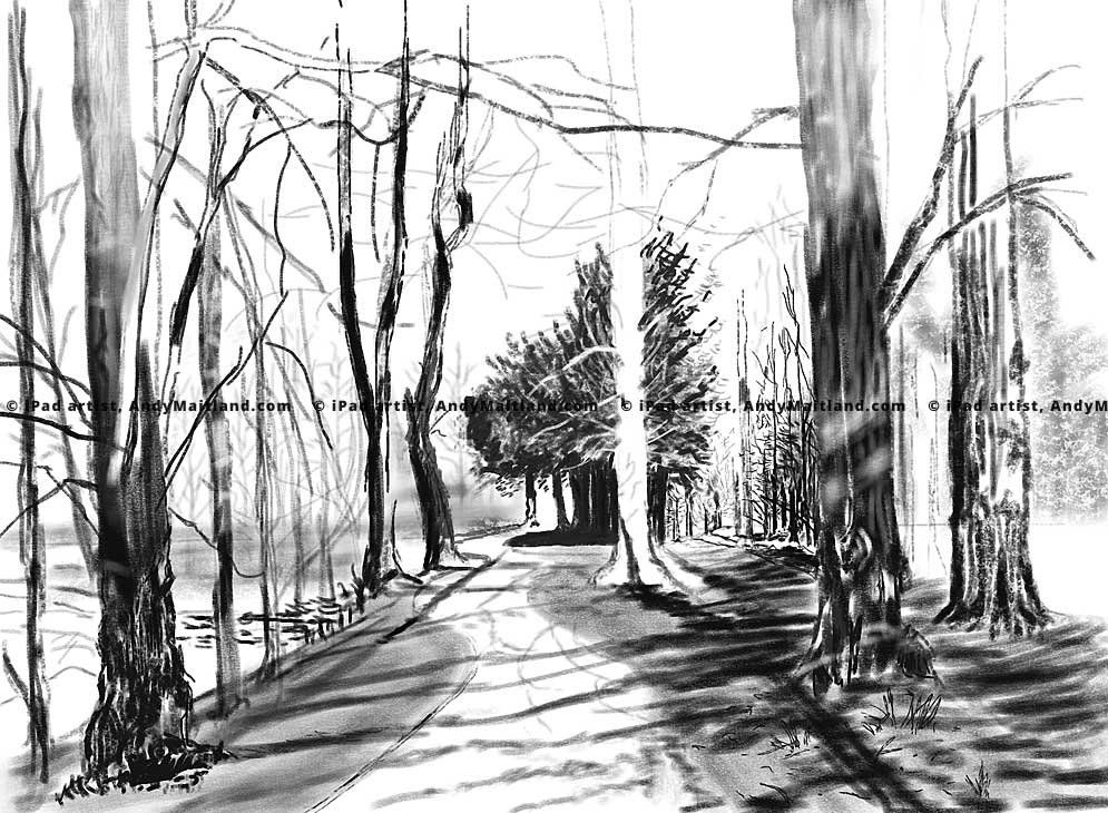 Andy Maitland, iPad drawing, Winter, Reigate Priory Park Surrey, UK.