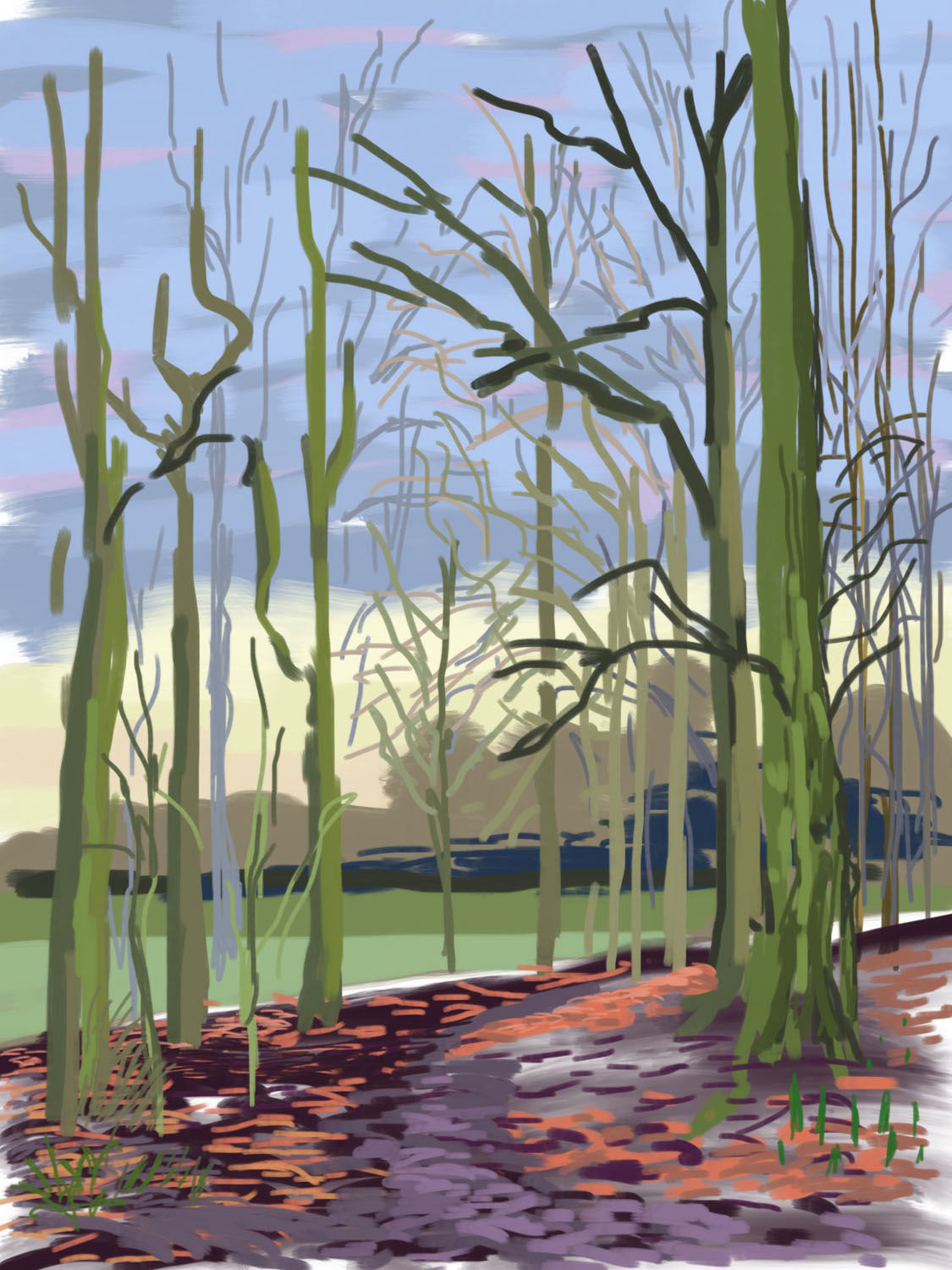 Andy Maitland, 2013, iPad Sketch, Reigate Priory Park, Surrey, UK. Winter. January 17th.