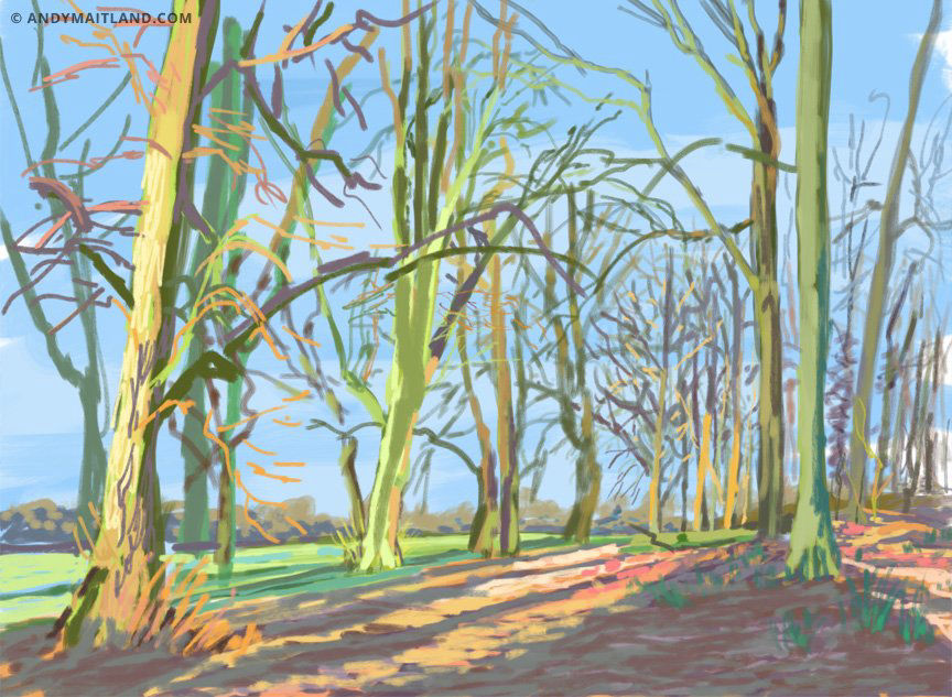 Andy Maitland, 2013, iPad Sketch, Reigate Priory Park, Surrey UK. Winter. March and April.
