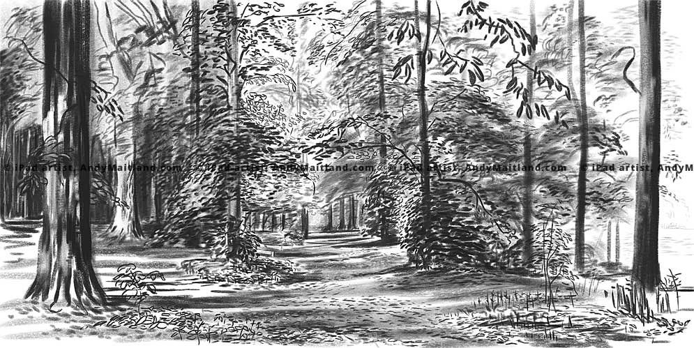 Video of an iPad drawing, 'In the woods 2', Reigate Priory Park, Surrey, UK.