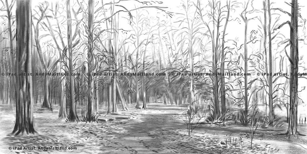 Andy Maitland, 2014, iPad drawing, Reigate Priory Park, Surrey, UK. Winter.