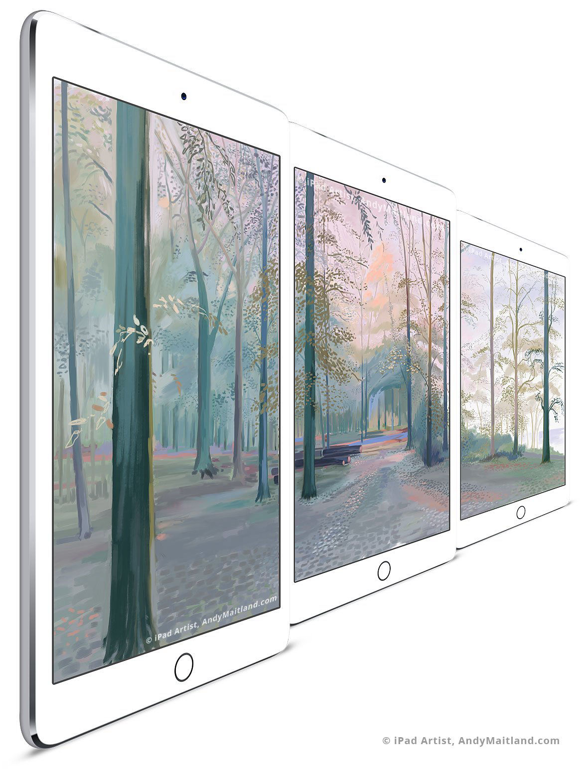 Andy Maitland, iPad artist, iPad drawing made across 3 iPad canvases entitled Morning Mist, 2013