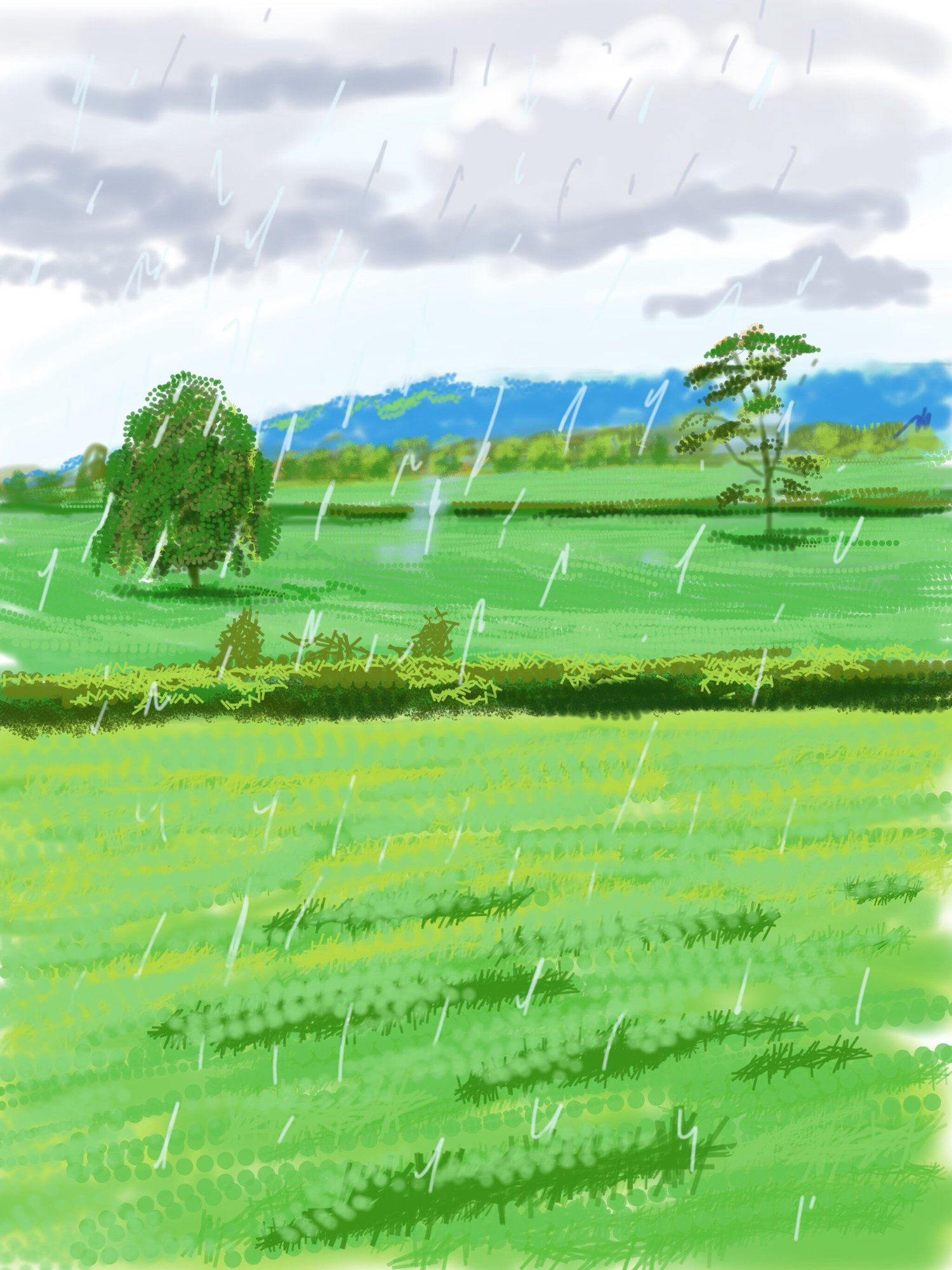 Andy Maitland, iPad artist, iPad drawings made across two iPad canvases, Flanchford Farm 5, Surrey, UK, 2021