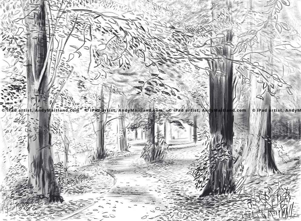 Andy Maitland, iPad drawing, Autumn, Reigate Priory Park Surrey, UK.