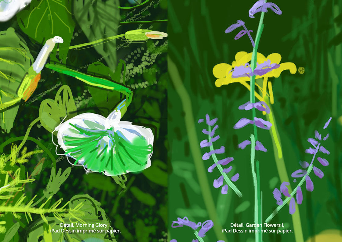 Digital exhibition book of ‘The Digital Garden® 2018, iPad drawings with Augmented Reality (AR) at the Royal Horticultural Society Garden Wisley’. 3