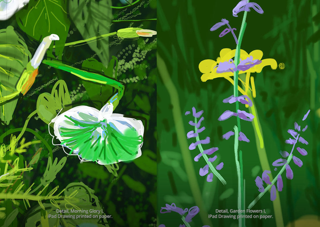Digital exhibition book of ‘The Digital Garden® 2018, iPad drawings with Augmented Reality (AR) at the Royal Horticultural Society Garden Wisley’. 4